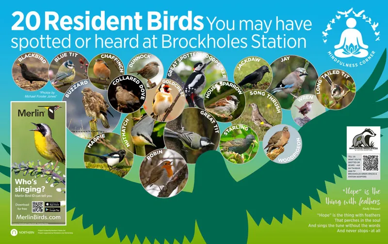 Mindfulness corner birds poster on Brockholes Station
